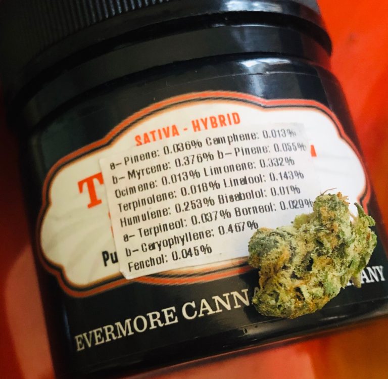 A CLOSER LOOK AT WHAT’S INSIDE: However the adjective “dominant” seems to be  conspicuously omitted from the labeling.  given the fact that Evermore is labeling this strain a Sativa Hybrid even though both of its parents are Indica dominant Indica/ sativa hybrids must mean that they classify this strain as a Sativa Hybrid and  its in-house labeling convention gave it an orange label, which, must signify the same. Evermore’s designation would keep in line with effects that I personally experienced, and therefore, I believe, aptly labeled. However, wish there was some explanation or insight into this on the label itself.) And speaking of the label, I appreciate it’s rather simplistic innocuous barbershop aesthetic only for the fact that it’s just below the line of what I would call wasteful, and cost -increasing finery. Strane has the right idea: cut down on ornate packaging and lower overall prices. I hope In the future that Evermore retain its humble appearance by reducing the fluff even more. Monochromatic maybe? Just a thought. The fact is that this is some of the finest cannabis I’ve tried since receiving my card and I really liked the fact that it was so unassuming. It gave me the impression that they aren’t trying to impress or compete, they are just doing their own thing and getting really good at it apparently. The potency of this batch of this strain was medium -high testing at THCa 25.57% THC 0.43% . This level of derived THC is a higher than normally seen percentage. To me this indicates that, even though this batch is at roughly 25%, there is a higher concentration of thc .4% compared to the average .1-.2% and therefore it delivers a much more concentrated, and thus potent effect. Again, in my experience, or informed opinion is that a a ratio of THCa to thc found in this Evermore strain may actually offer a more intense high than a strain rated at 30% THCa that is only deriving something like a .2% thc level.