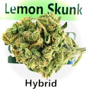 lemon skunk bud on lemon skunk by sunmed label
