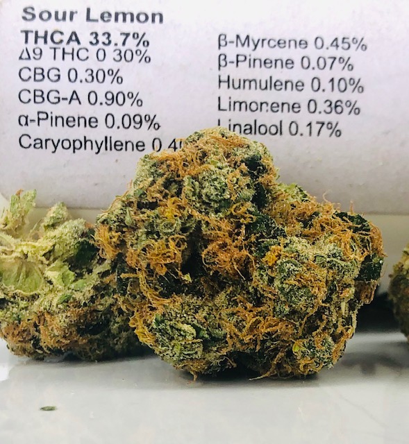 sour lemon bud in front of Curio container displaying terpene list