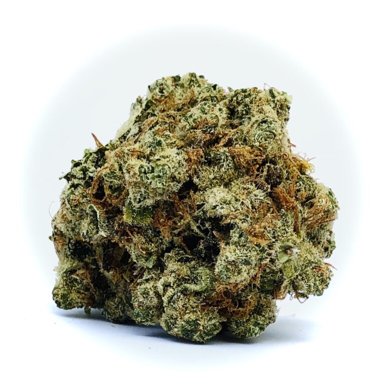 gorgeous bud of afghani by hms on white background