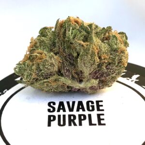 savage purple bud on culta container top alternate bud