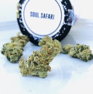 cookie shaped bud of soul safari on culta lid with label
