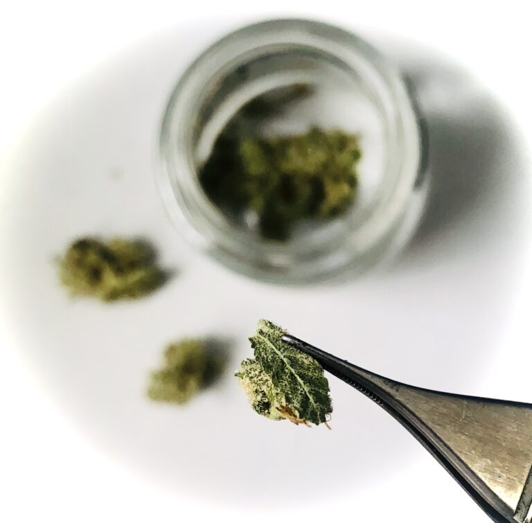 micro-dosing cannabis 1