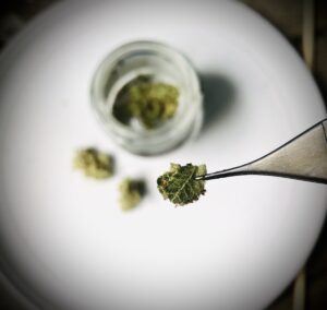 micro-dosing cannabis 10