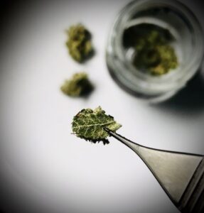 micro-dosing cannabis 11