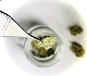 micro-dosing cannabis 4