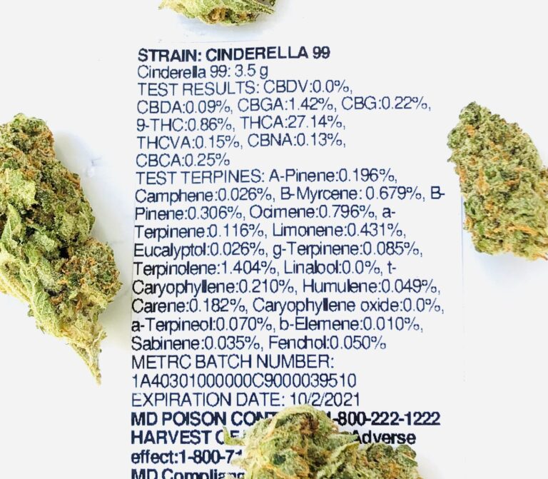 terpene and potency label for cindarella 99 with buds on perimeter