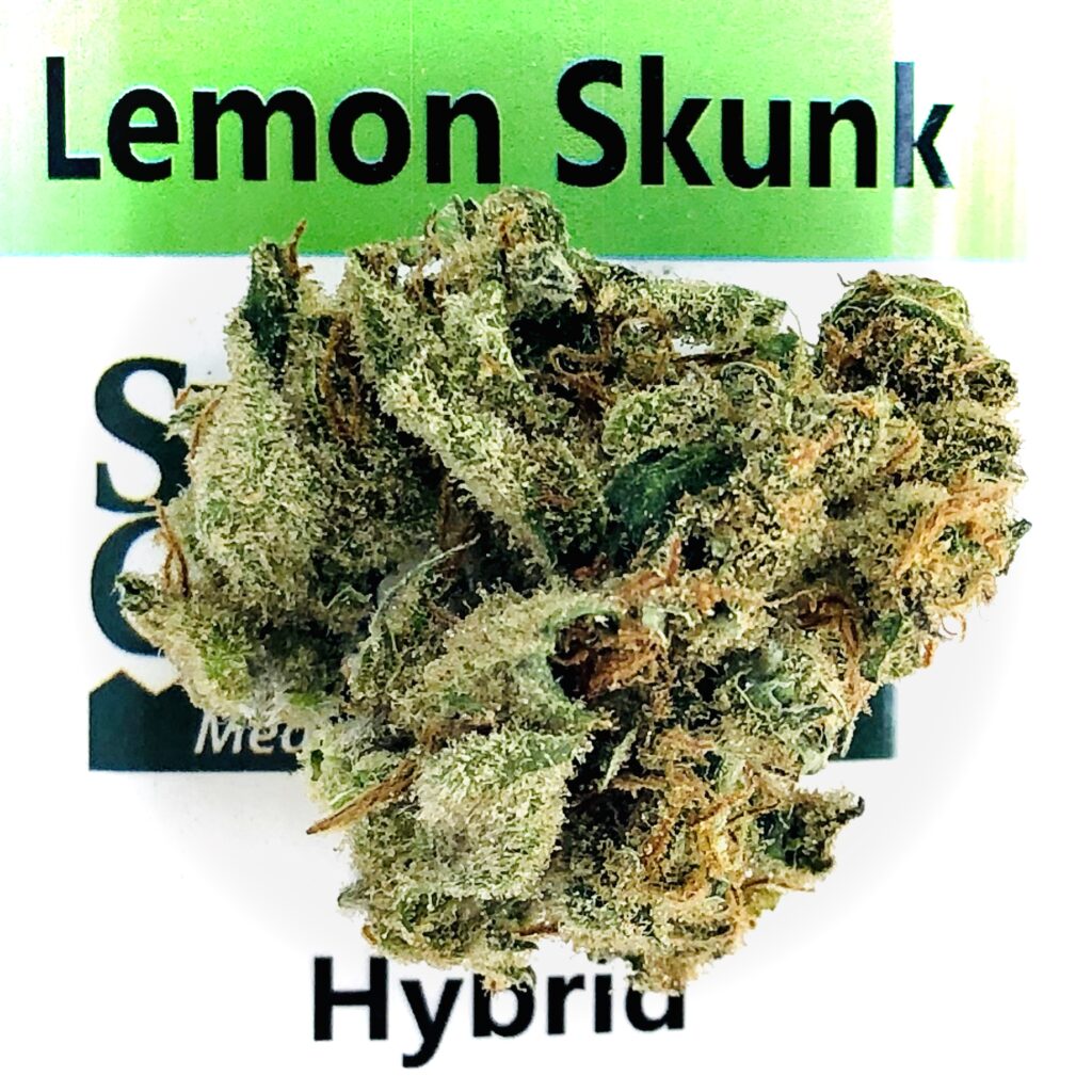 lemon skunk bud 3