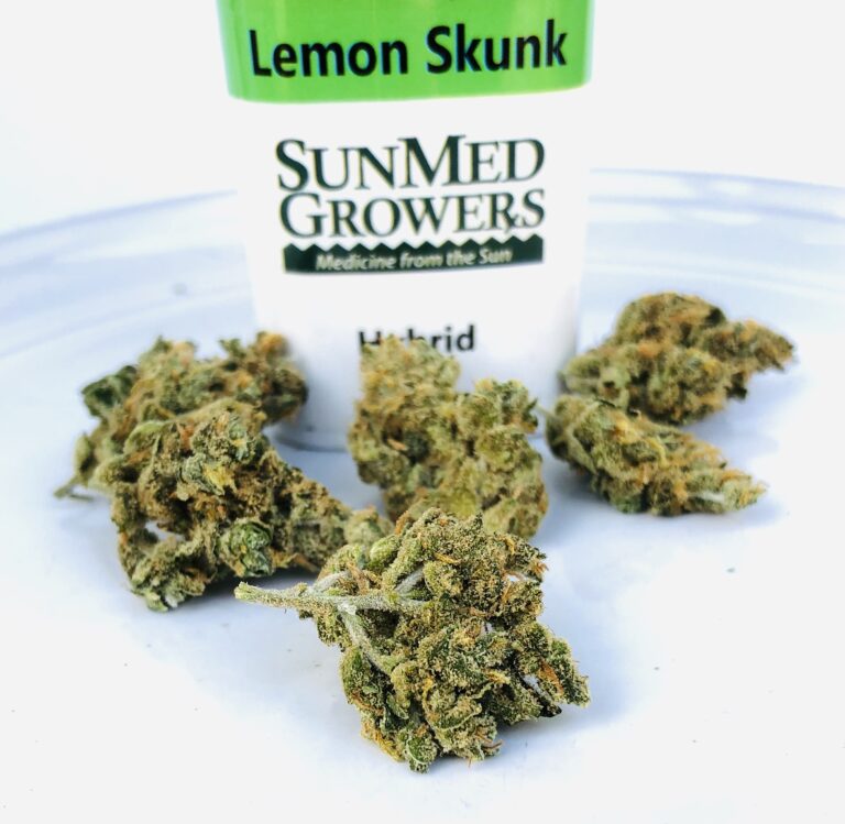 lemon skunk buds in front of sunmed growers container