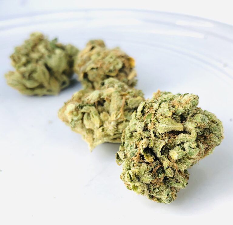 row of stardawg buds with larger bud in foreground on white background