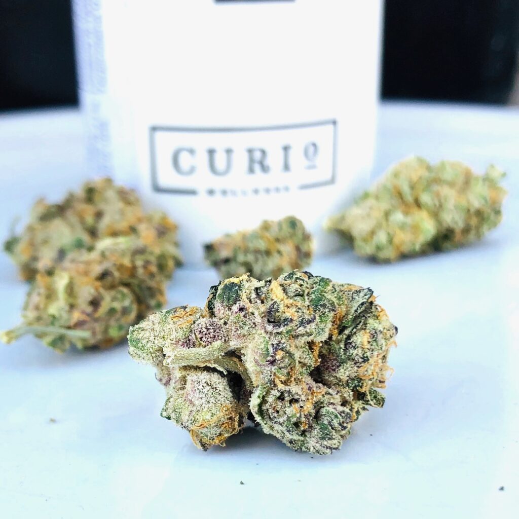 group of buds of raven strain by curio wth curio container in background
