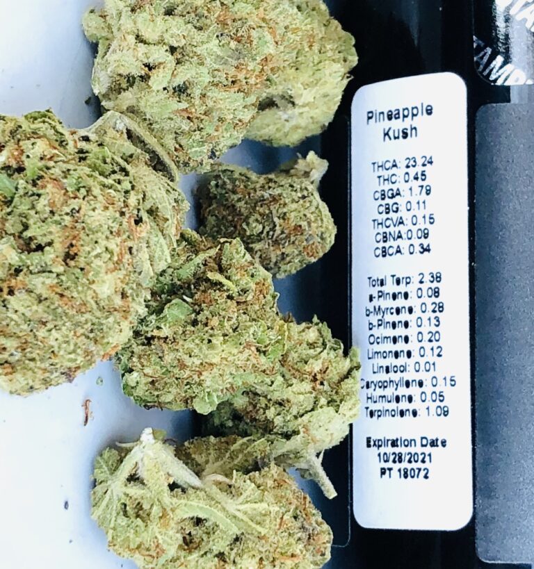 pineapple kush hms terpene and potency label with buds