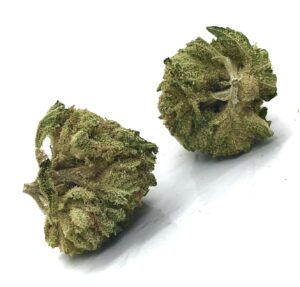 two army green buds of element by harvest