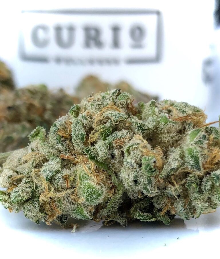 white trichomes on bud of raven strain by curio