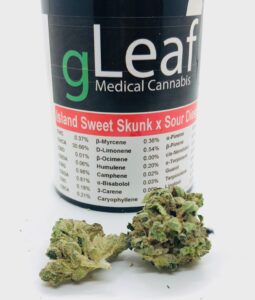 two buds of island sweet skunk x sour diesel by gleaf in front of container showing terpene label
