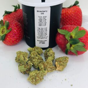 buds of strawberry og by hms with container and strawberries in background