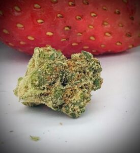 detail image of strawberry og by hms bud with strawberry partially visible in background on a white surface