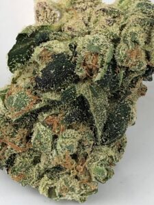 close detail of bud of G6 Jet Fuel by Verano
