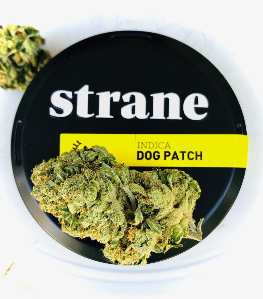 bud of dog patch strain on lid of Strane cannister