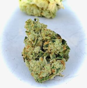 single gorgeous lime green bud of dog patch strain