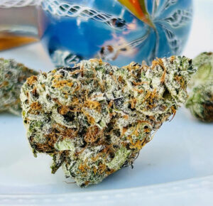 bud of Blue Beach Haze strain in front of multi colored swirled glass bowl