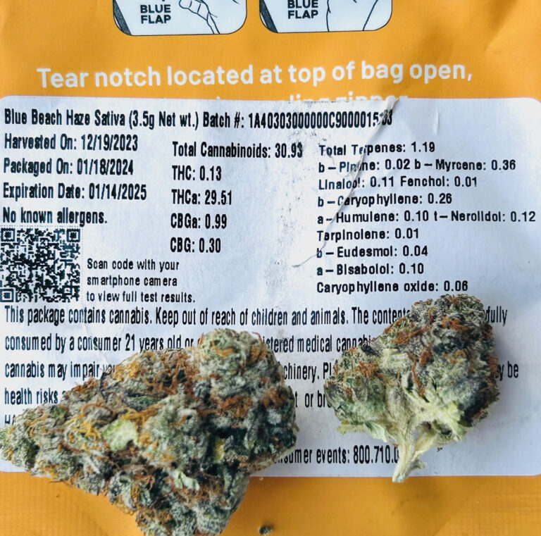 terpene and potency testing label for buds of Blue Beach Haze strain