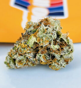 trangular conically shaped bud of Blue Beach Strain in front of the sativa roll one ziplock