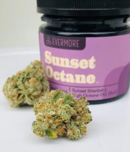 another angle showing more of the yellow and gold on the leaves of sunset octane buds by evermore cannabis