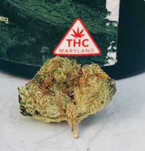 bud of oro blanco with thc maryland sticker on green jar behind it