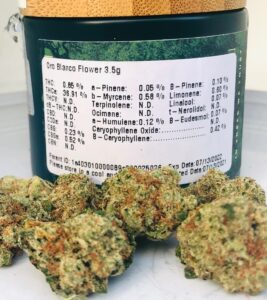 terpene and potency label on jar of flower with the buds on the outside