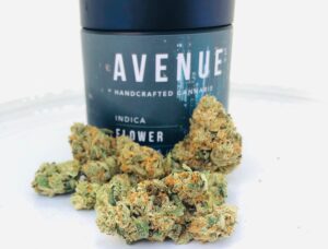 buds of marshmallow by avenue
