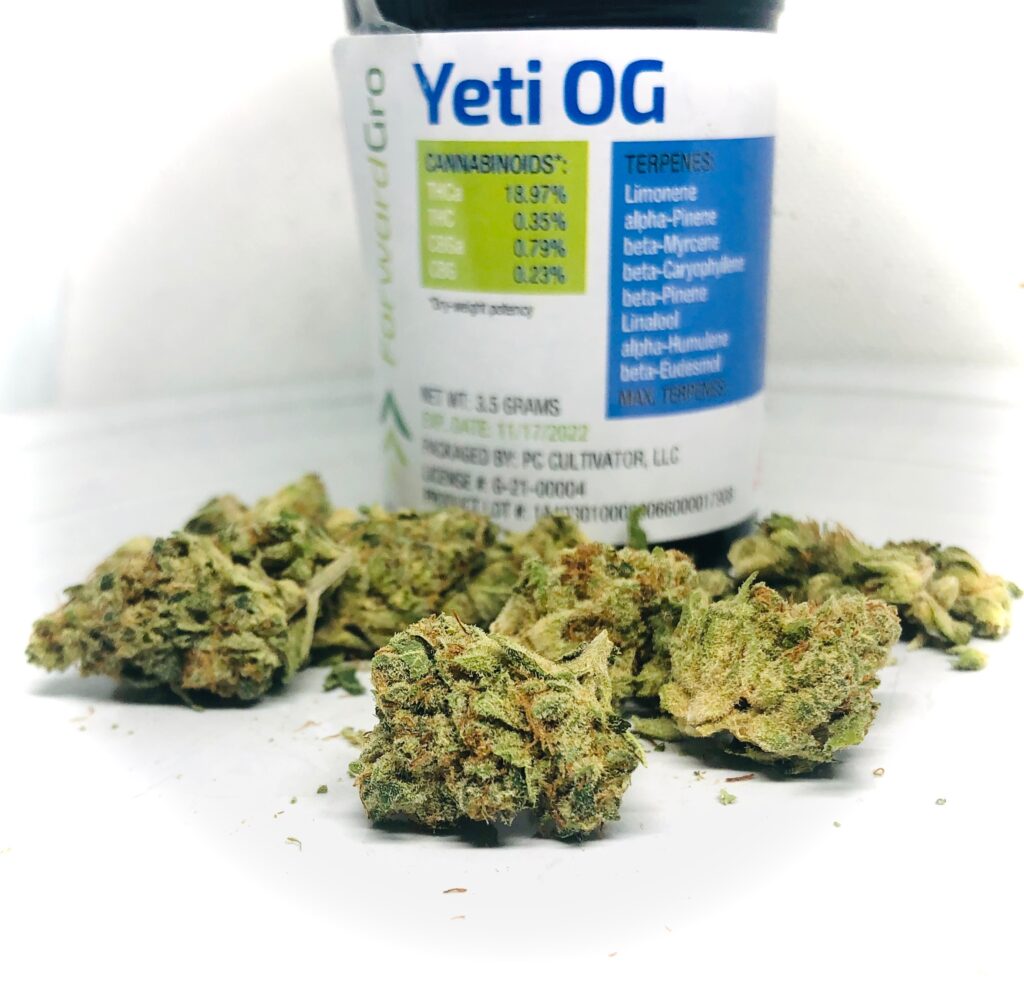 buds of yeti og in front of forwardgro container with green and blue product label and testing info