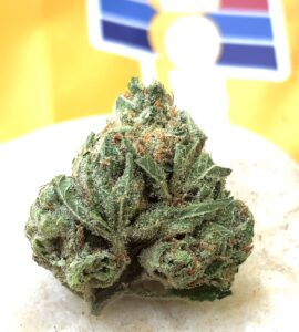 detail image of orange cookies cannabis bud