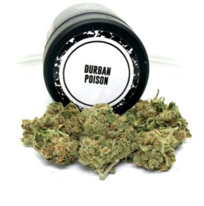 an 1/8th of army green buds of durban poison arranged in front of a Culta black dram on its side with the words "Durban Poison" written in black on a white circle