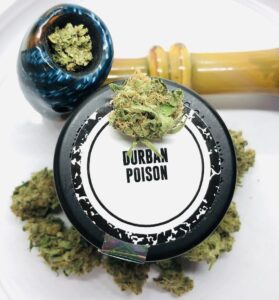 gandolf pipe with durban poison and culta dram and buds