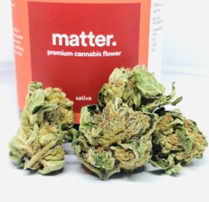 rollinia sativa buds in front of matter dram
