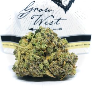 multi colored bud of fruit striped gum by grow west