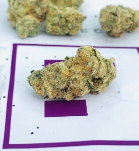 a bud of mule fuel by FADE